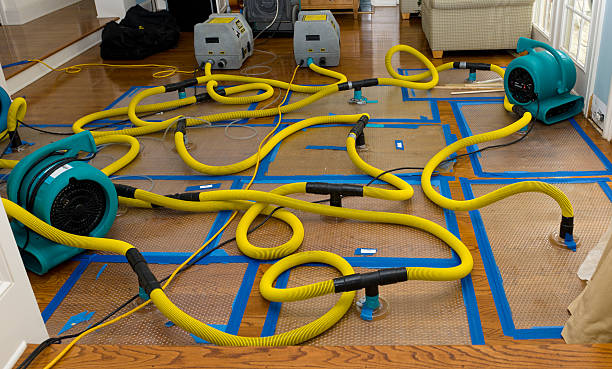 Professional Storm Water Damage Restoration technician working in Valentine, NE